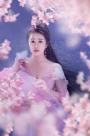 律政英雄2014