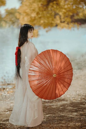 遍地阳光